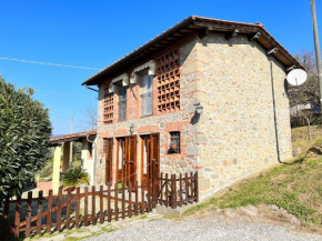 Casa Pozzi, Capannori